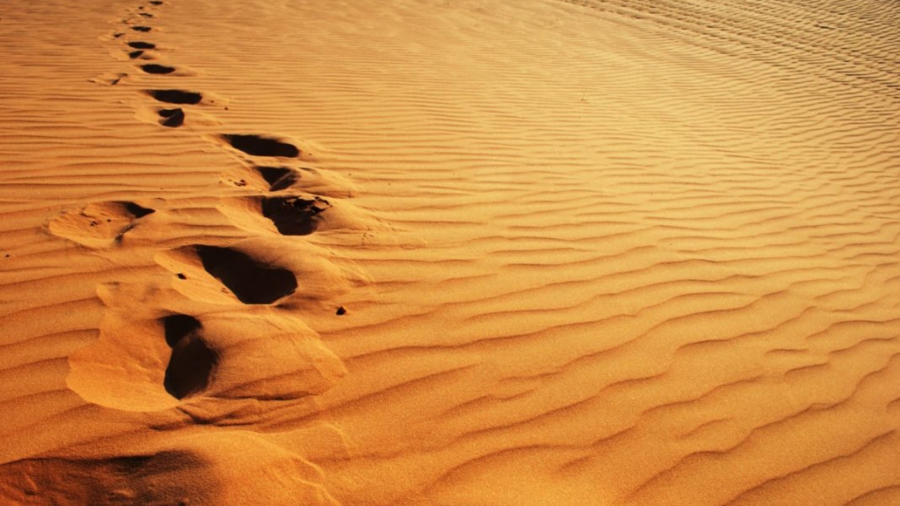 red-sand-dunes-1068x715