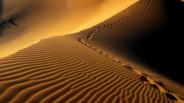 landscapes-nature-deserts-sand-dunes-dunes-footprint-dessert_www.wall321.com_5-770x470-696x425-1